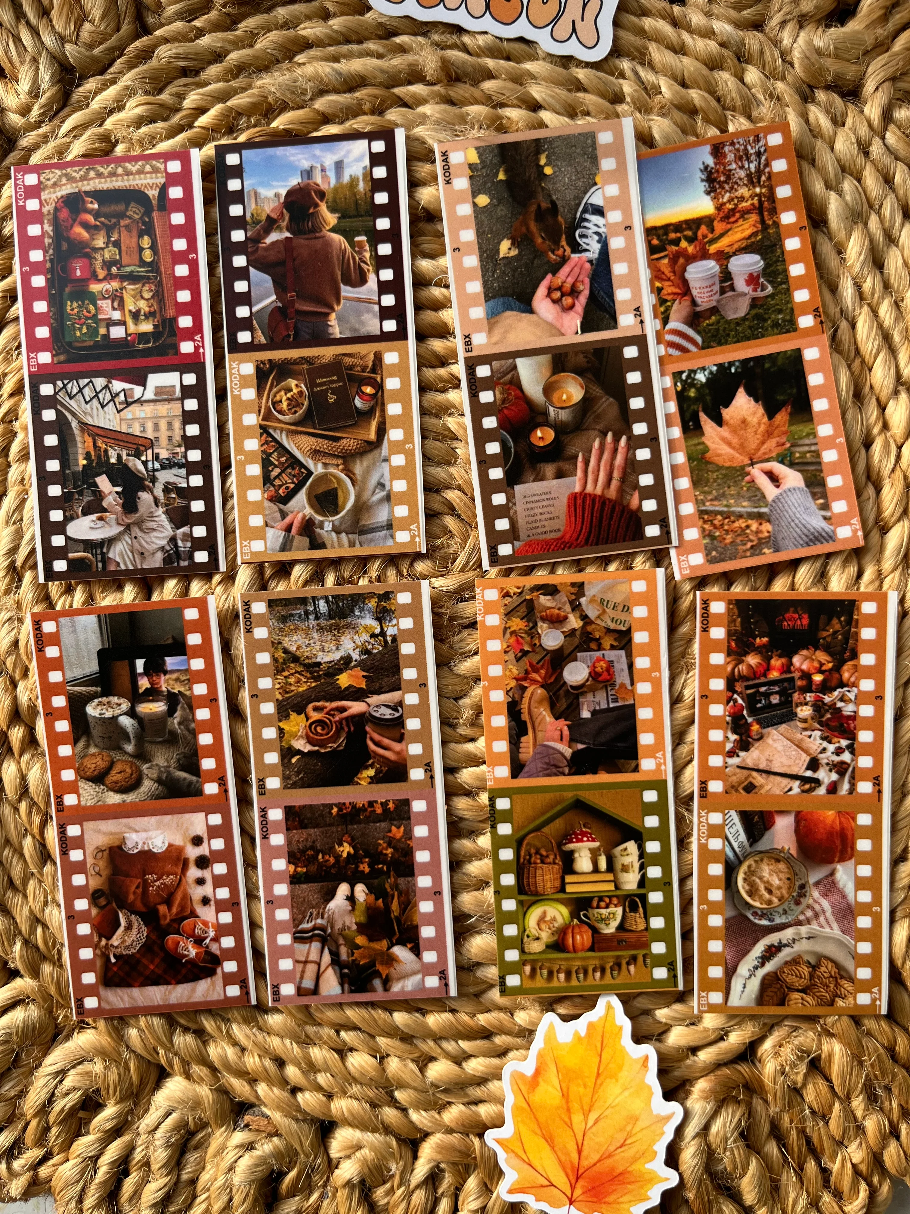 Thumbnail 11