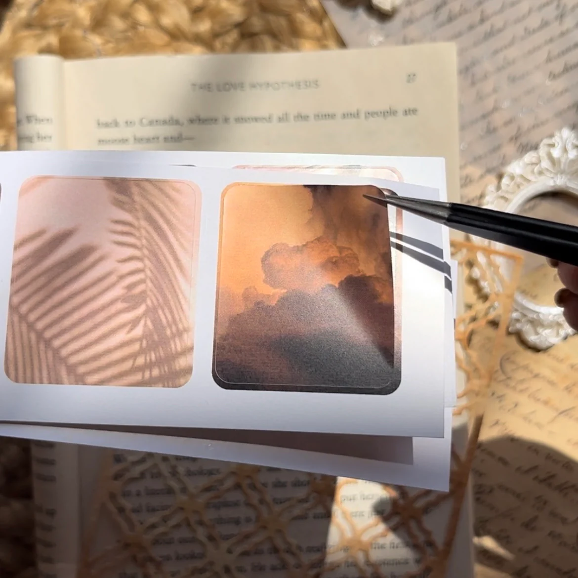 Thumbnail 7